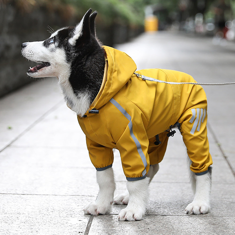 Imperméable pour chien avec veste de pluie pour chien réfléchissante
