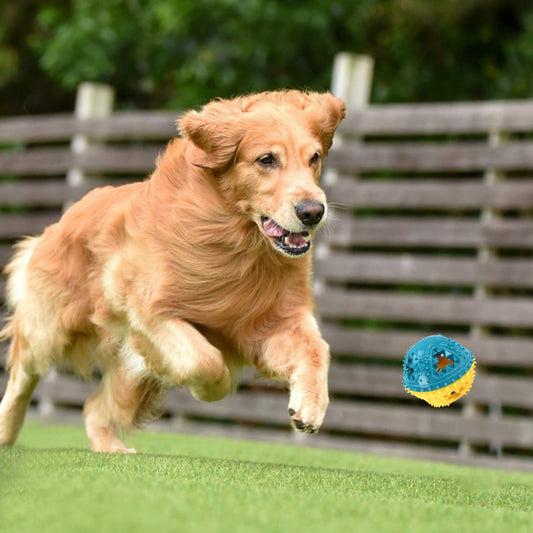 Jouets à mâcher pour chien Grincer les dents Jouets à balles sonores Boules de nourriture qui fuit Anti-morsure Entraînement interactif Nettoyage des dents Jouets Produits pour animaux de compagnie