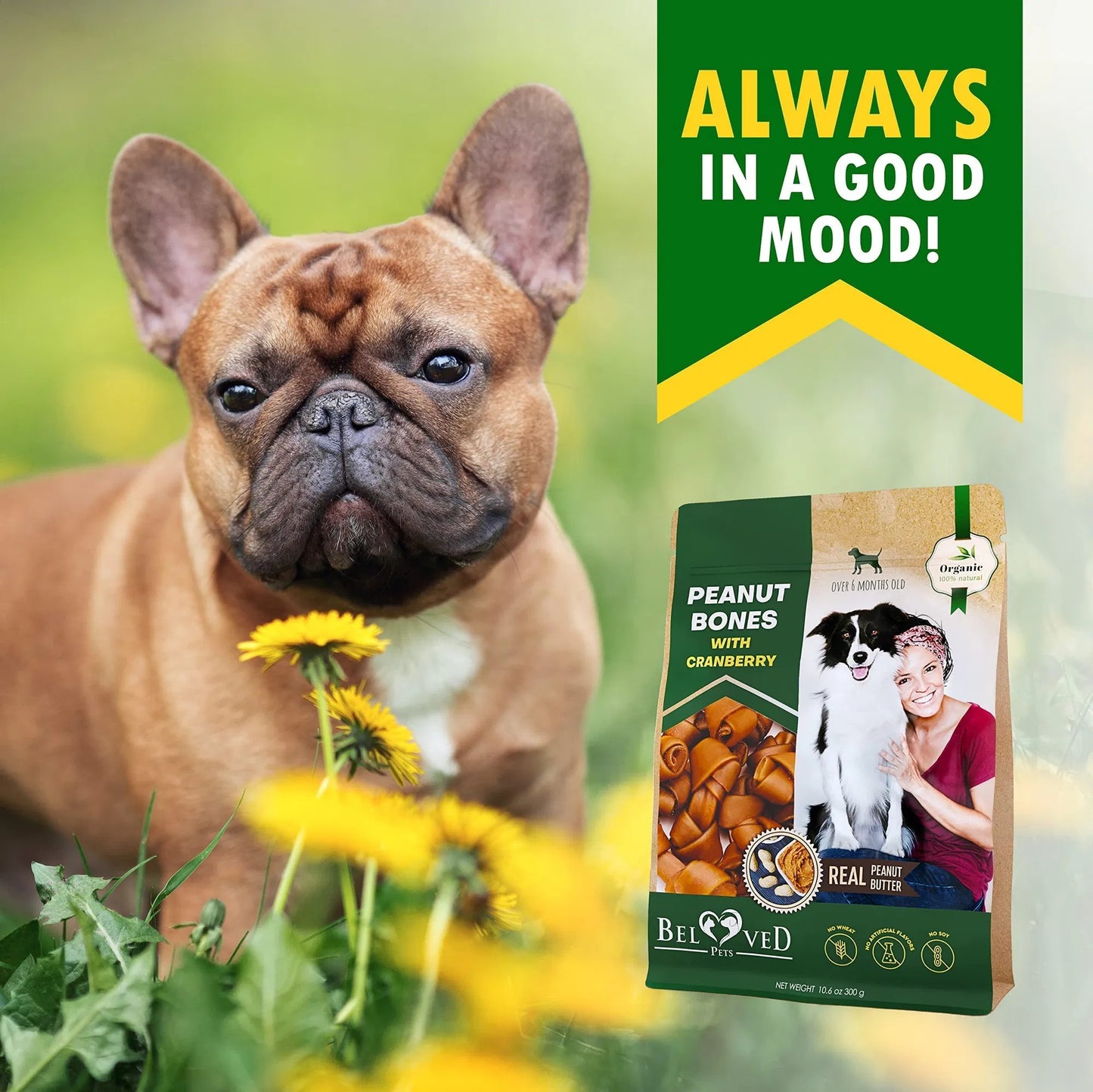 Os de beurre d'arachide pour chien avec cuir brut de canneberge Gâteries à mâcher sans friandises naturelles pour animaux de compagnie Mini et grandes collations biologiques Collagène sain et en vrac