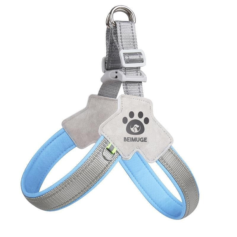 Harnais pour chien et chat, harnais pour animaux de compagnie avec ensemble de laisse