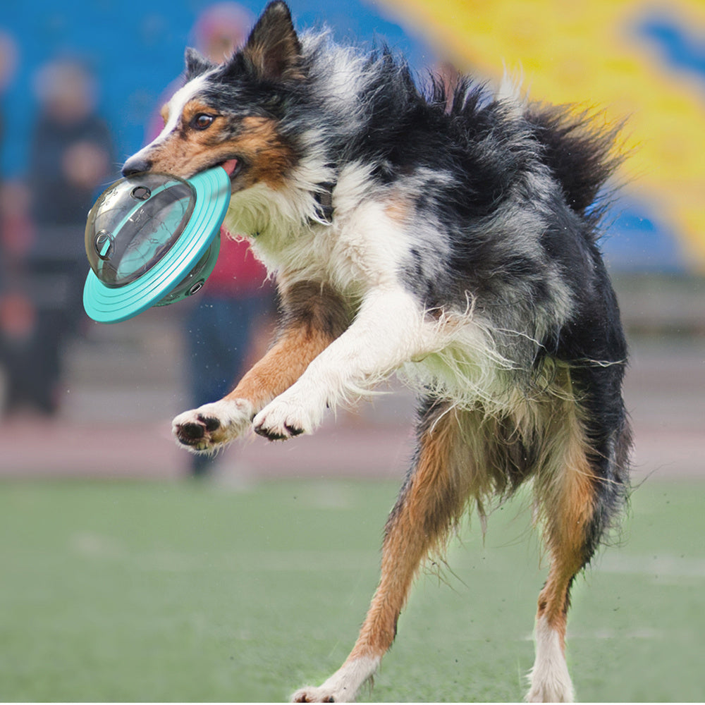 Chien interactif fuite de nourriture distribution boule de friandise pour petits grands chiens améliorer le jouet d'entraînement du QI chiot jouet de teckel à alimentation lente