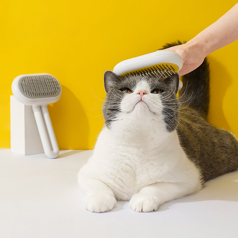 Brosse pour chat, brosse pour chien