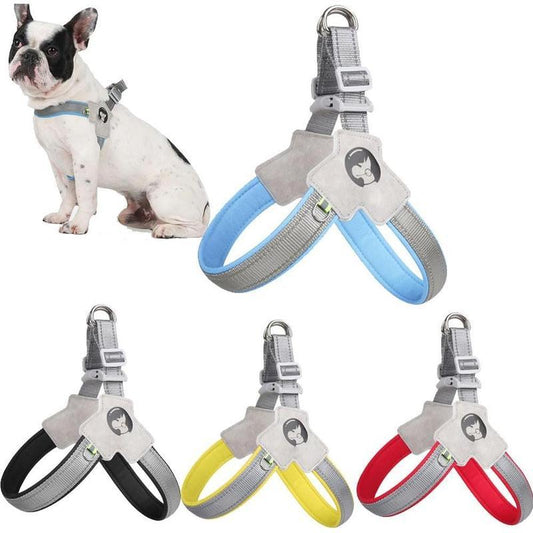 Harnais pour chien et chat, harnais pour animaux de compagnie avec ensemble de laisse