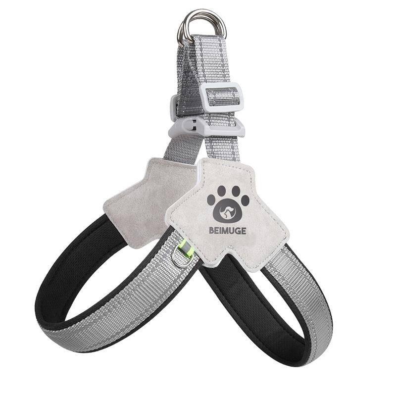 Harnais pour chien et chat, harnais pour animaux de compagnie avec ensemble de laisse