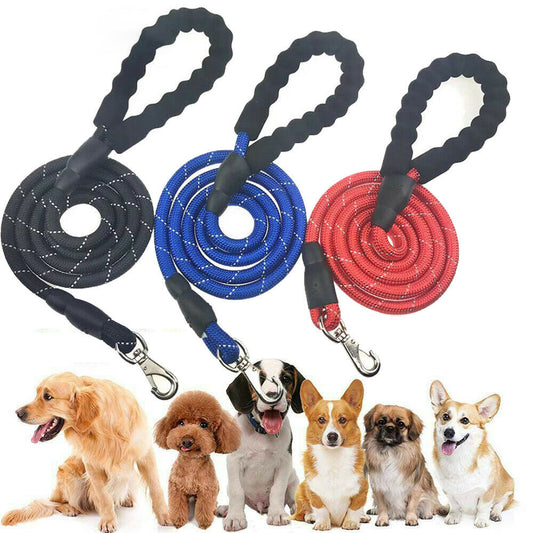 Laisse pour chiens Élasticité de course à la main