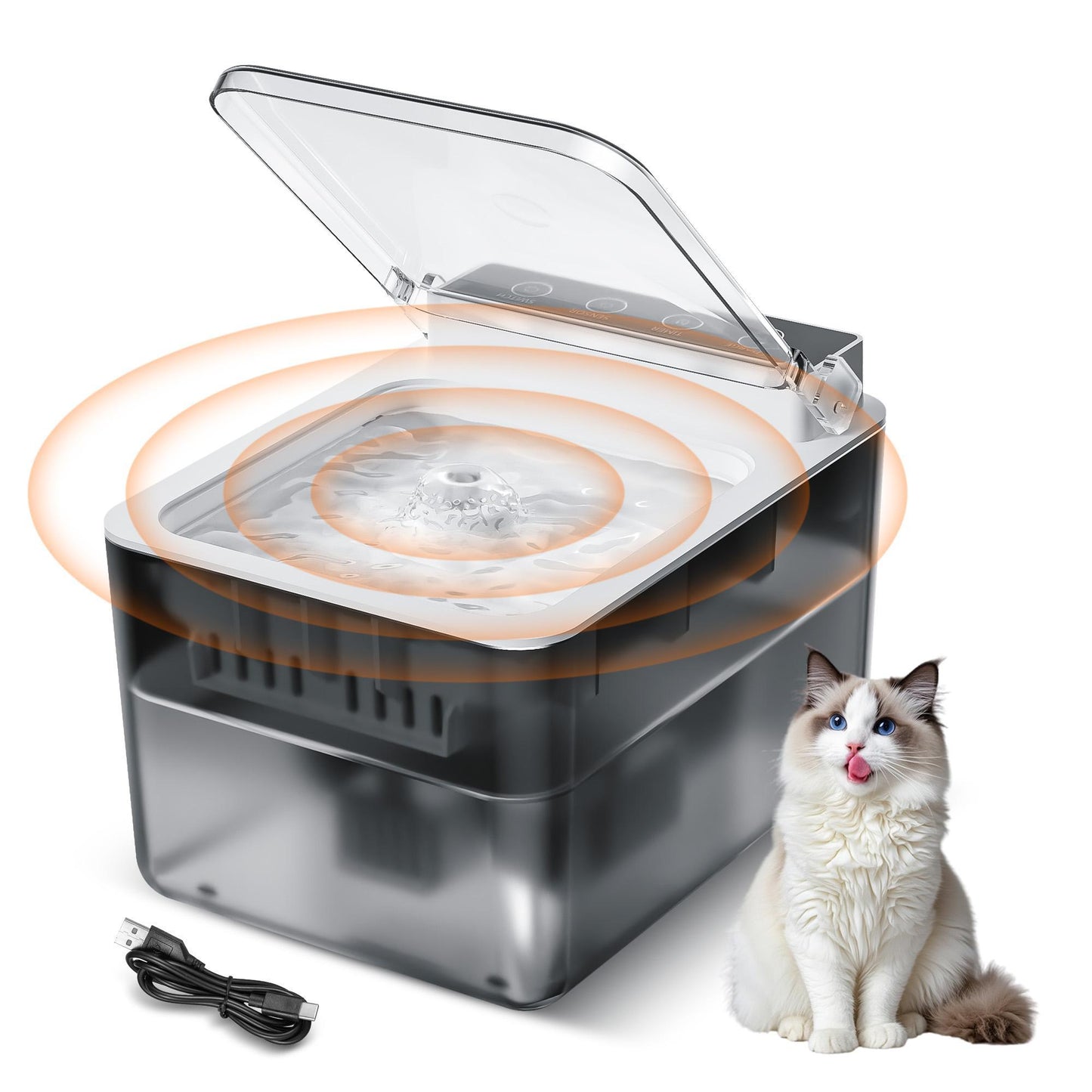 Distributeur d'eau pour chien Fonction de détection automatique