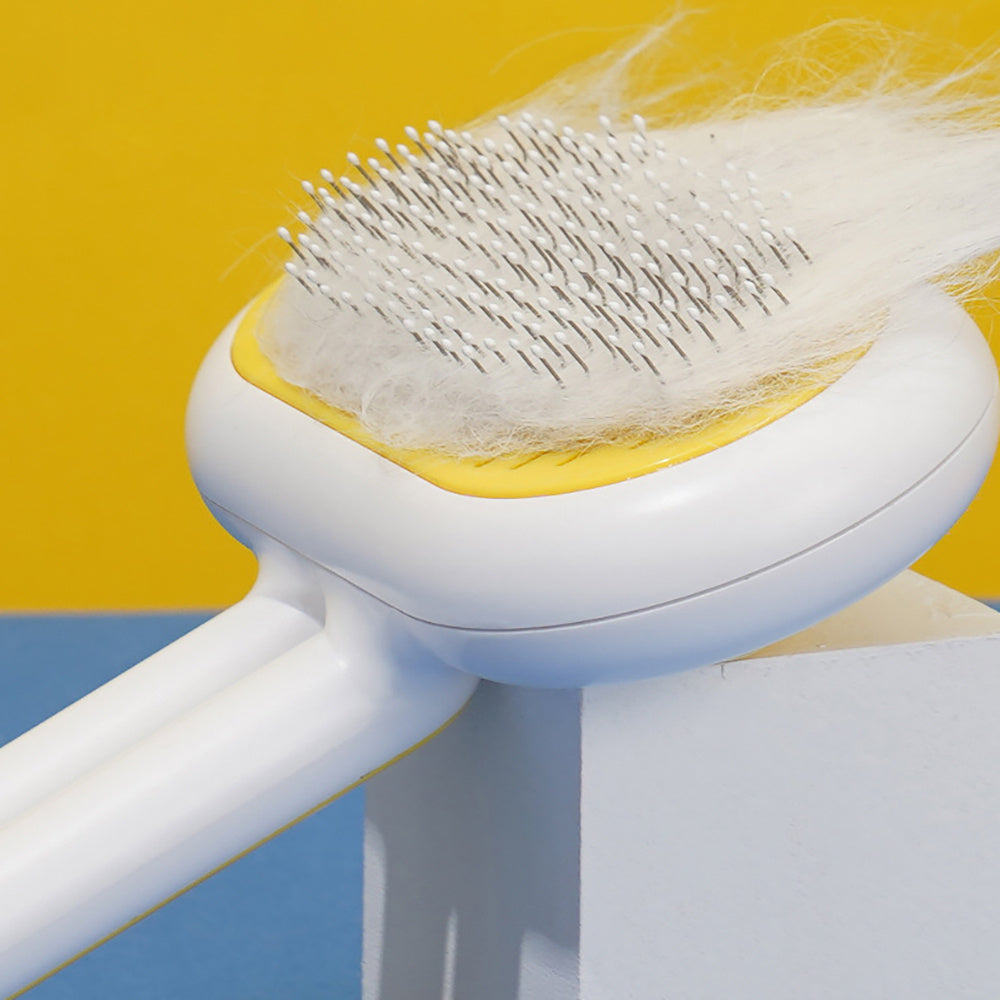 Brosse pour chat, brosse pour chien