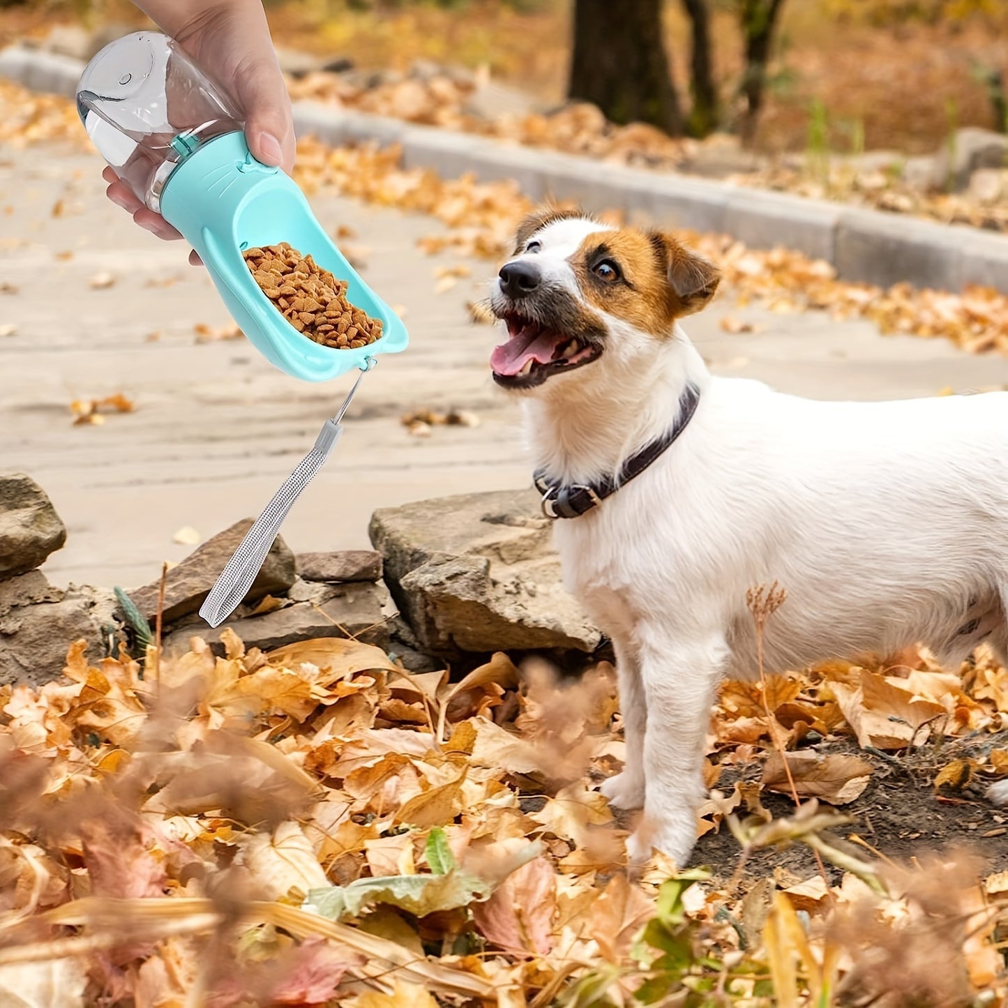 Bouteille d'eau pour chien 2 en 1, bouteille d'eau portable étanche pour animaux de compagnie