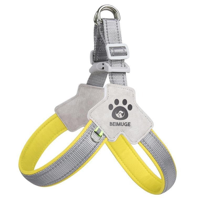 Harnais pour chien et chat, harnais pour animaux de compagnie avec ensemble de laisse