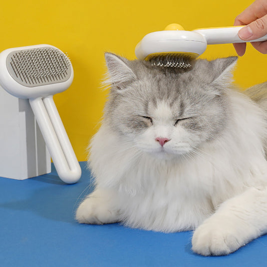 Brosse pour chat, brosse pour chien