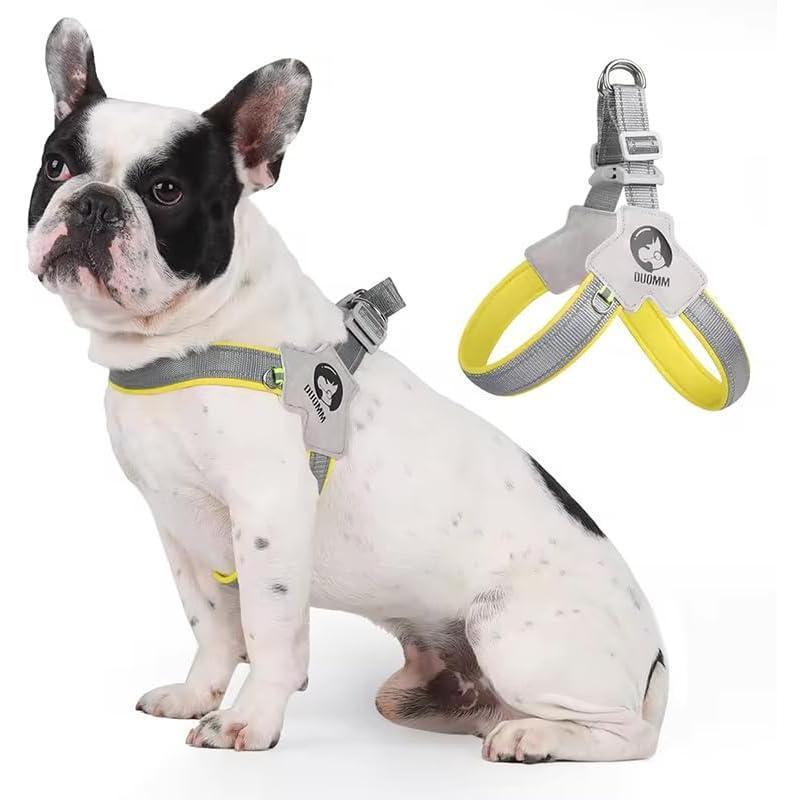 Harnais pour chien et chat, harnais pour animaux de compagnie avec ensemble de laisse