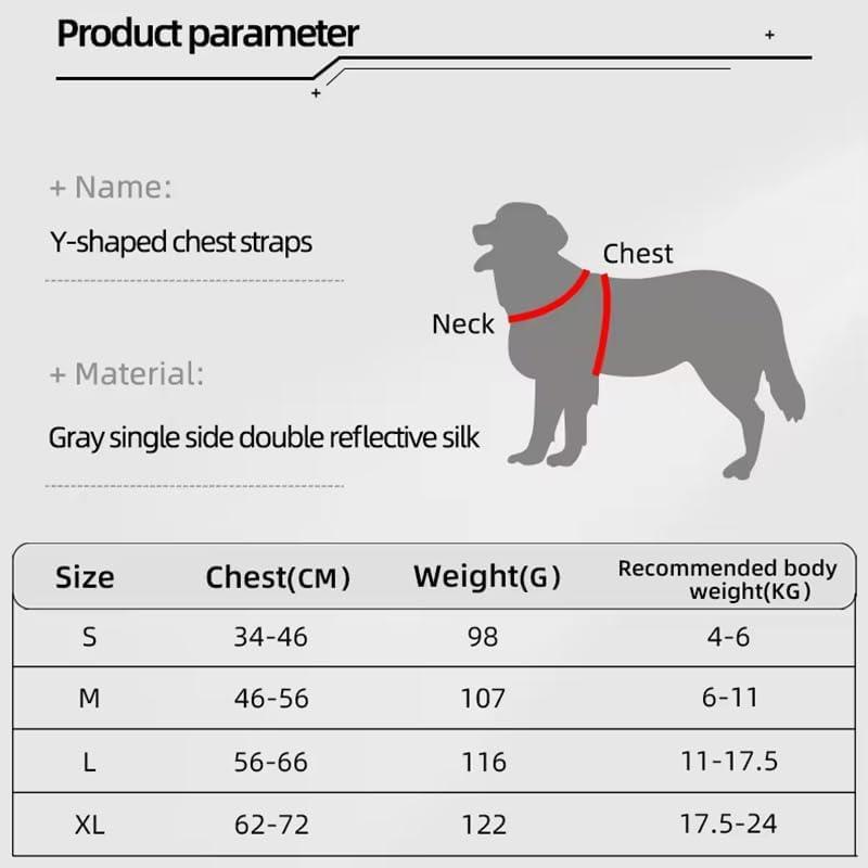 Harnais pour chien et chat, harnais pour animaux de compagnie avec ensemble de laisse
