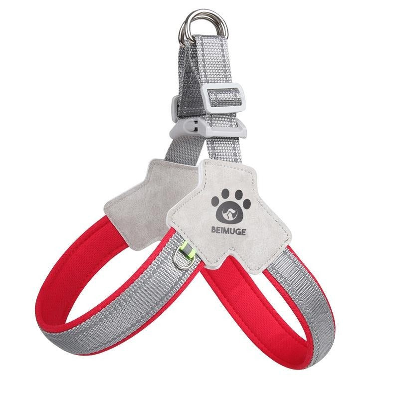 Harnais pour chien et chat, harnais pour animaux de compagnie avec ensemble de laisse