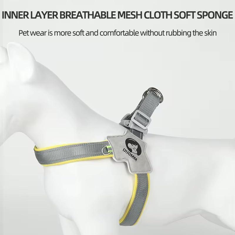 Harnais pour chien et chat, harnais pour animaux de compagnie avec ensemble de laisse